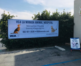 Wide Format Banners for Vets in La Mirada CA