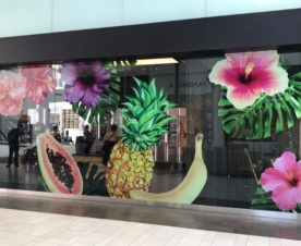 Mall Window Graphics