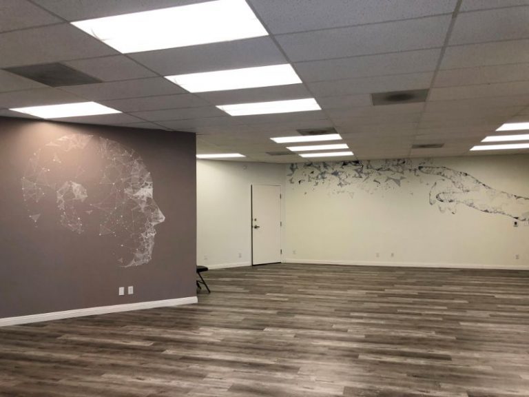 Office Wall Murals and Graphics in Irvine CA