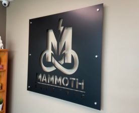 Anaheim CA Metal Logo Lobby Signs
