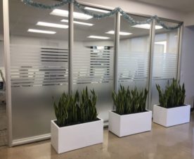 Frosted Glass Vinyl Striping in Anaheim CA