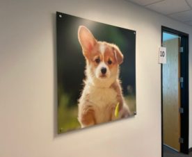 Office Wall Prints in Los Angeles CA
