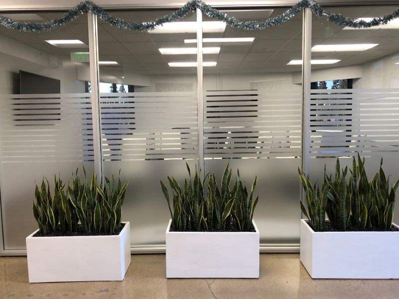 frosted glass graphics in irvine 