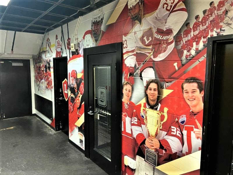 hockey team wall murals in orange county, ca