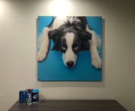 office wall art and wall graphics in Los Angeles CA