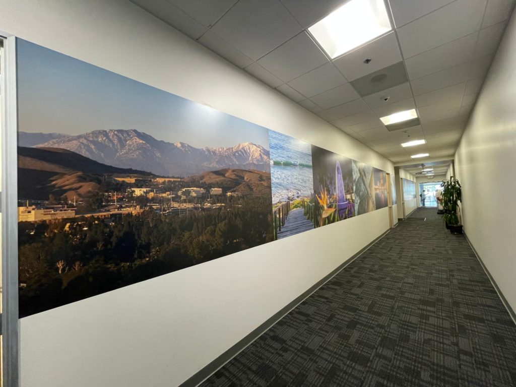 Hallway Wall Graphics for Offices