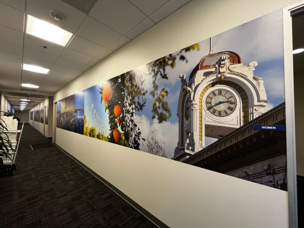 Custom Designed Office Wall Murals