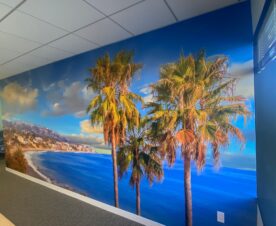 oceanscape wall graphics for offices in costa mesa, ca