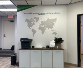 Custom vinyl wall decals of world maps in Brea, ca