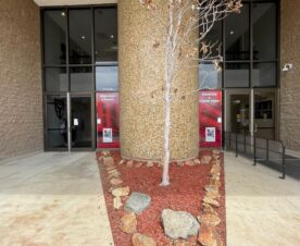 santa ana college custom window graphics