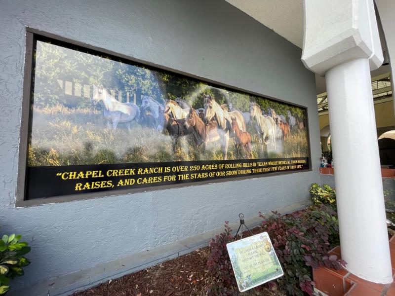 perforated window graphics in buena park, ca