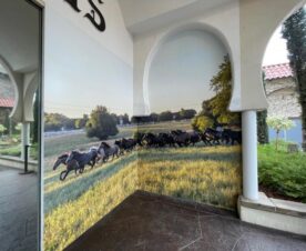 custom wall murals and wall wraps in buena park, ca